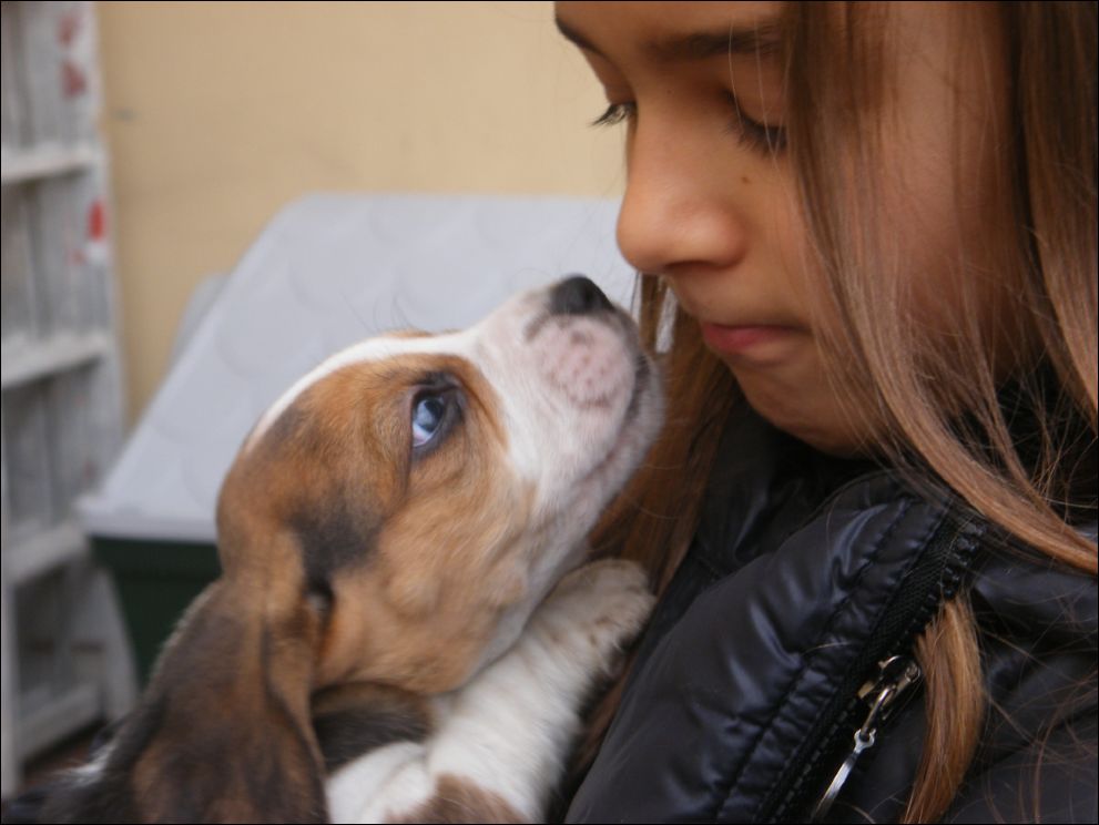 cuccioli amelie-64